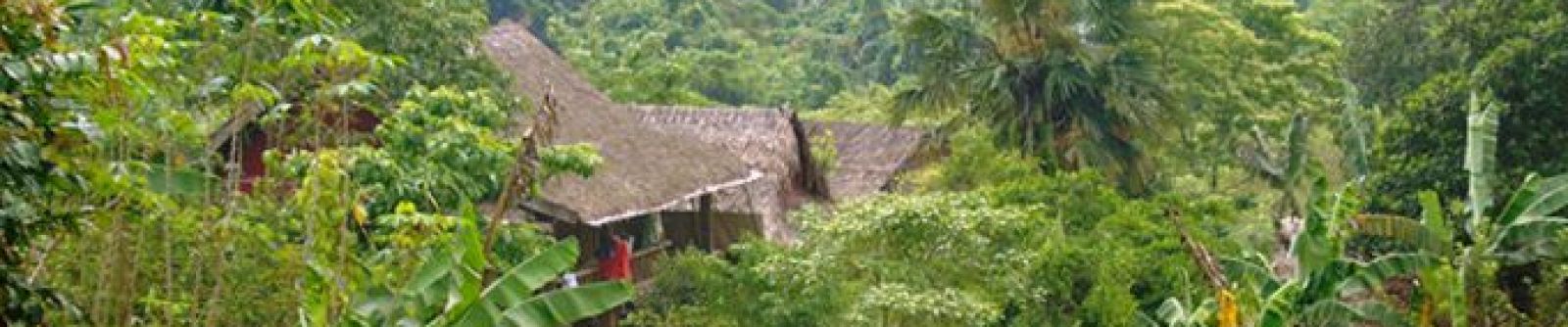 Trương Gia Giới
