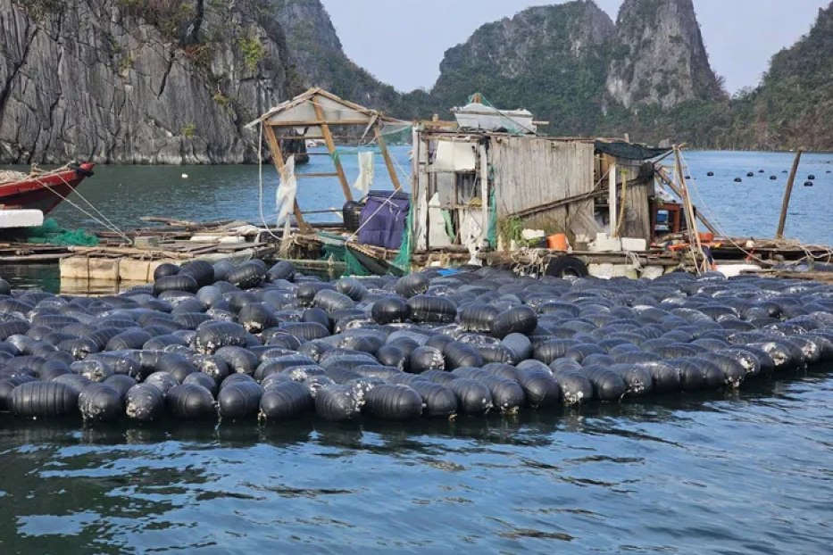 QUẢNG NINH CÁCH NÀO "THẦN TỐC" PHỤC HỒI DU LỊCH SAU BÃO YAGI QUẢNG NINH CÁCH NÀO "THẦN TỐC" PHỤC HỒI DU LỊCH SAU BÃO YAGI