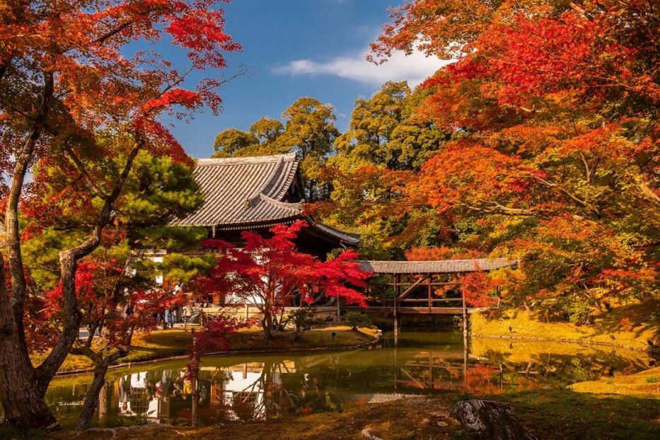 🍁 DỰ BÁO MÙA LÁ ĐỎ NHẬT BẢN NĂM 2024: ĐẮM CHÌM TRONG VẺ ĐẸP THU LÃNG MẠN 🍁 🍁 DỰ BÁO MÙA LÁ ĐỎ NHẬT BẢN NĂM 2024: ĐẮM CHÌM TRONG VẺ ĐẸP THU LÃNG MẠN 🍁